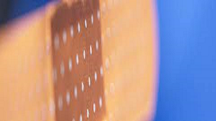 FAVIN POSTURAL CENTER